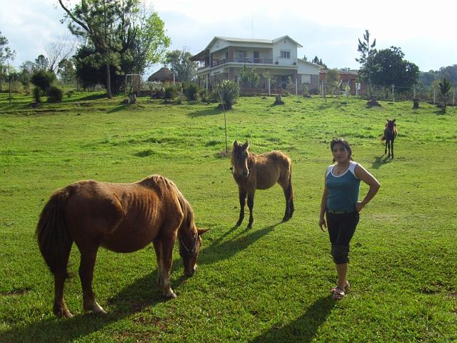 Janet conpempla los caballos.JPG